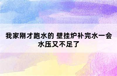 我家刚才跑水的 壁挂炉补完水一会水压又不足了